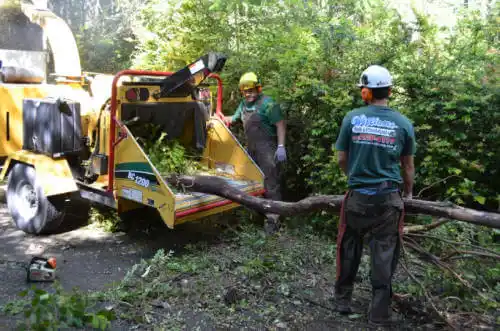 tree services Fort Stewart